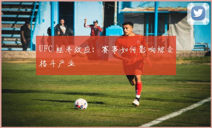 UFC 经济效应：赛事如何影响综合格斗产业