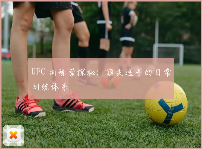 UFC 训练营探秘：顶尖选手的日常训练体系